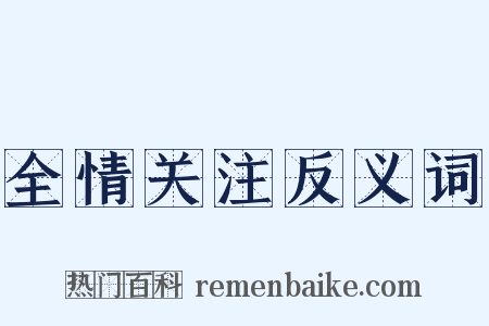 全情关注反义词是什么意思的图片